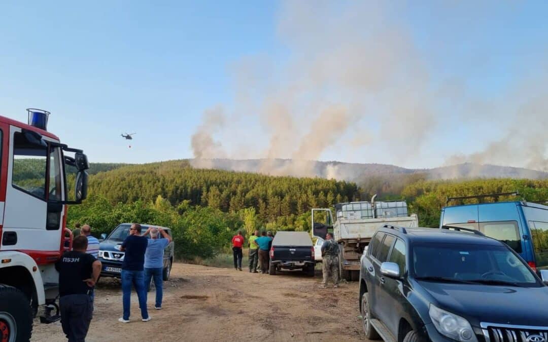 Доброволците с ключова роля при овладяването на пожара край с. Лесичево в област Пазарджик